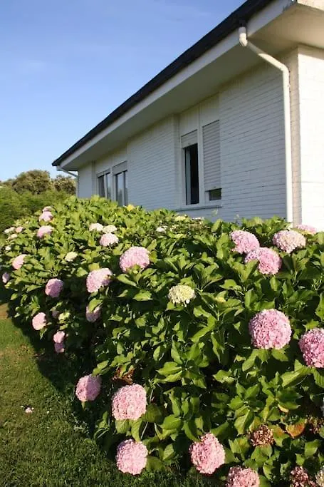 Perfect Chalet For Beach Lovers And Golfers Somo